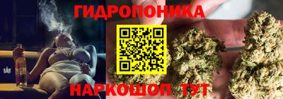 мяу мяу мука Будённовск