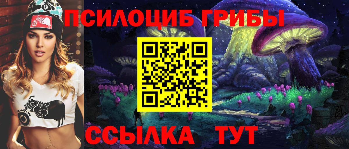 Псилоцибиновые грибы Psilocybine cubensis Узловая